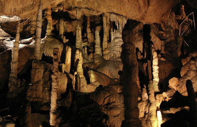 Bright Apartment in Thale With Terrace - Photo 71