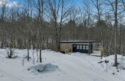 Modern Tiny Home Wraparound Deck - Foto 47