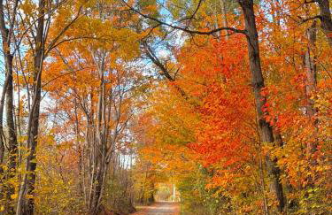 The Meadow at Cobbler Hill Farm - Foto 31