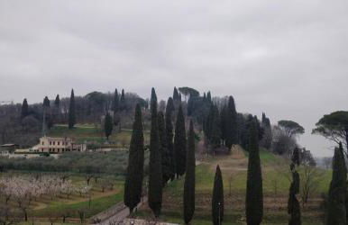 Agriturismo L'Albara - Wines, Pool & SPA - Foto 77