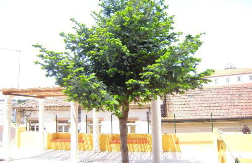 Vila Maior - Foto 51