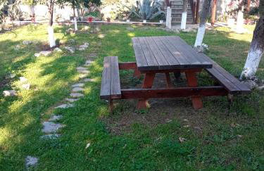 Sofia's Garden - Photo 7