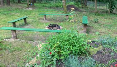 Domek w lesie blisko rzeki - Foto 2, Garden, Garden view