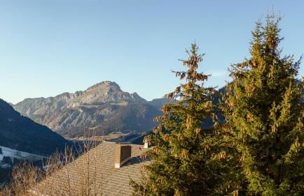 Les Flambeaux - Apt B01 - BO Immobilier - Châtel - Reduced prices on ski passes Châtel & Portes du Soleil - Foto 12