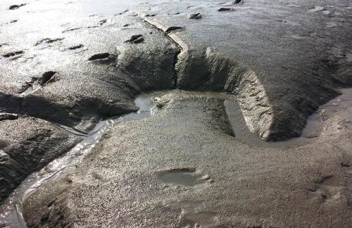 Ferienhaus Carolin am Nordseedeich - Foto 14