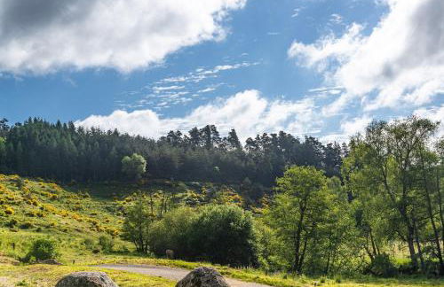 Gite de la grange - domaine de coulagnettes - Foto 44