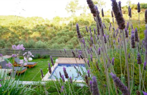 Physis Villas Chania - Foto 132