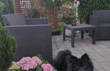 Noclegi Dobrzeń Wielki - Foto 23