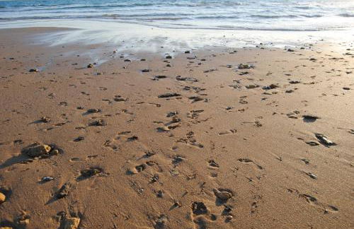 La Carrajolilla - Foto 62