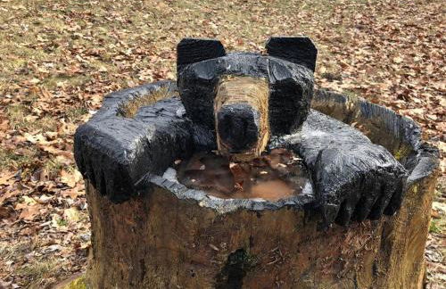 Fairytale: Hot Tub & Trout Stream & Petting Zoo? - Foto 72