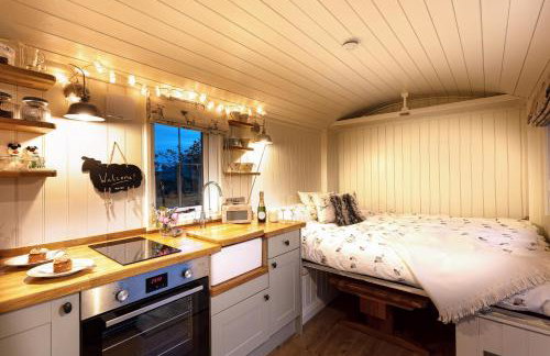Starlight Shepherd Hut - Foto 18
