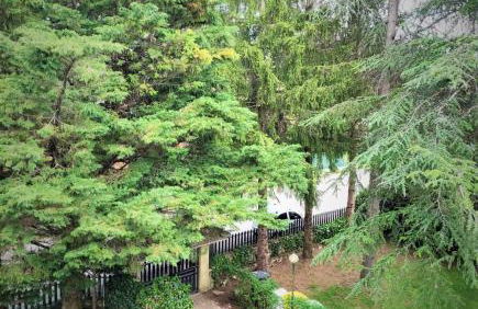 CASA GIULIA - Foto 5