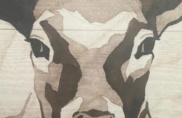 San Fabiano - Foto 2