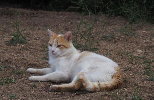 Stazzu Giasti Agriturismo - Photo 67