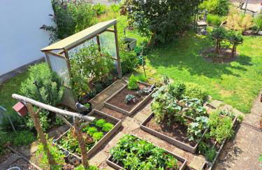 Haus Sonneneck - Foto 19