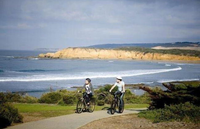 Beachfront Cottages Torquay - Foto 41