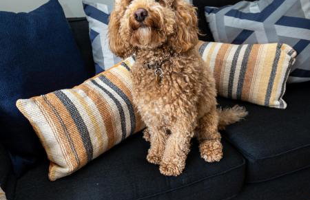 Church Cottage by Coast & Country Stays - Foto 15