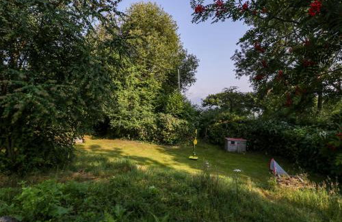 Black Cat Bach - Foto 31