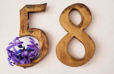 Haus Am Beckerberg im Harz - Foto 28