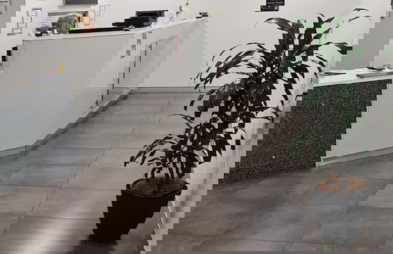 Toowoomba Central Plaza Apartment Hotel - Photo 2