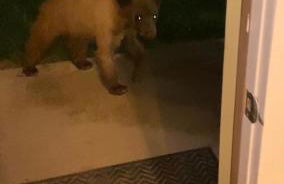 Valentine's Northern New Mexico Mountain Ranch on Colorado Border retreat - Foto 26