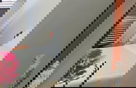 Atena Apartments nr 2 - Foto 3