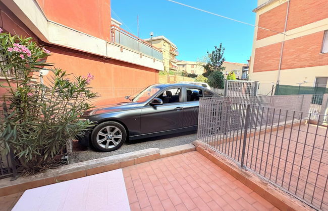 Cleo mimosa - Foto 22