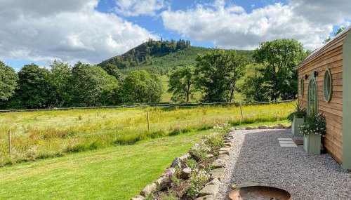 Bracken - Uk34842 - Photo 5