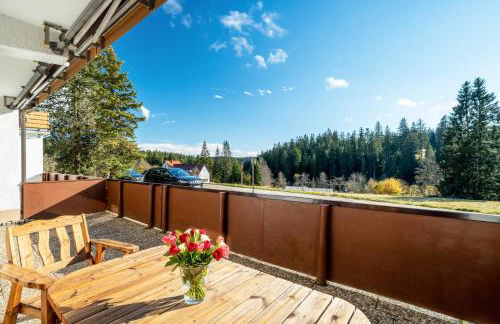 Ferienwohnungen Nordschwarzwald - Foto 30