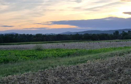 Bungalow, Uneinsehbar, 8 Personen maximal, 3 Personen oben, 5 unten - Foto 38