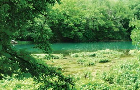 NEW! Authentic Stone House In National Park Krka - Foto 30