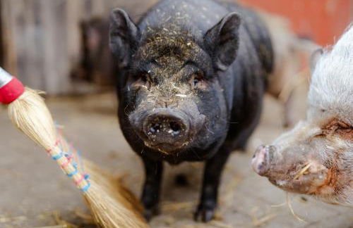 Achter de Höf Whg 2 - Foto 28