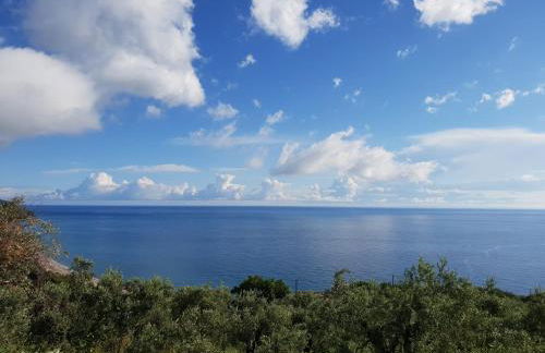 Moses Villa - Foto 42