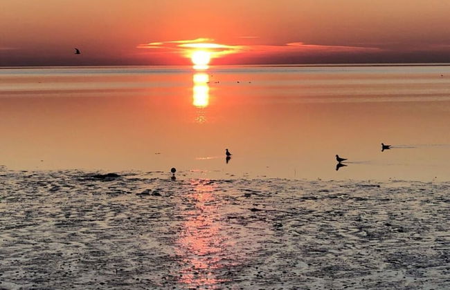 Nitschke - Vakantieappartement Wurm - Foto 22