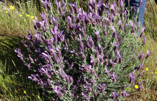 Casa Cristina - Foto 28