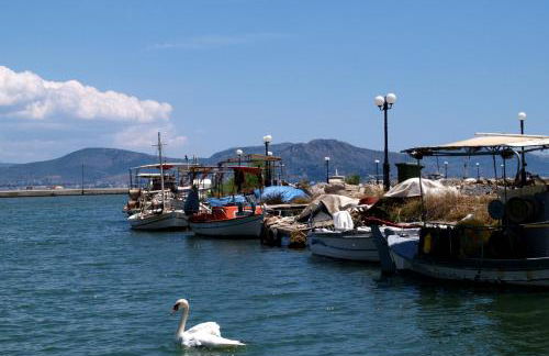 Argo Apartments near Nafplio - Foto 17