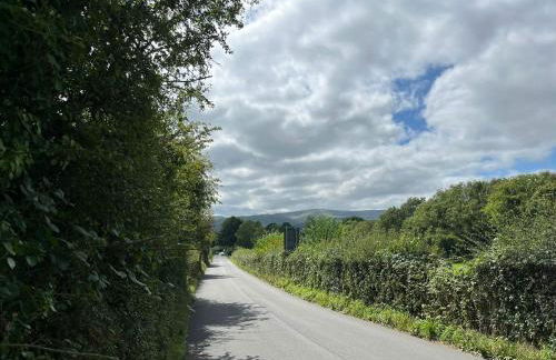 Ty Sycamore - Photo 21