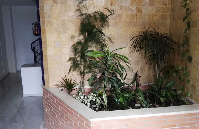 Fan Flat Eugenio - Foto 28