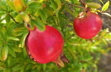 L'échappée créative - Foto 33