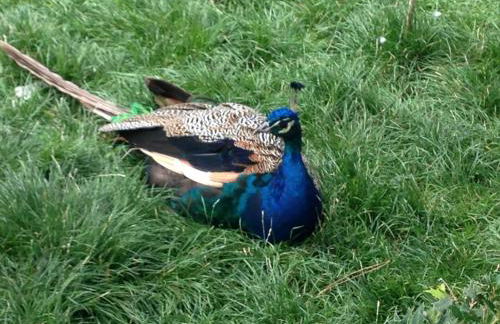 Apartamento Turistico Cigüeña de Arguedas - Foto 48