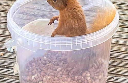 Scottish Highland Cottage Tyndrum Upper Station - Foto 21