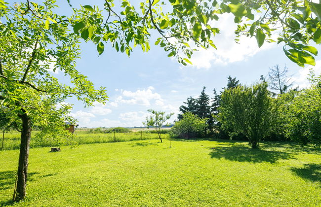 Meretei Porta - Foto 31