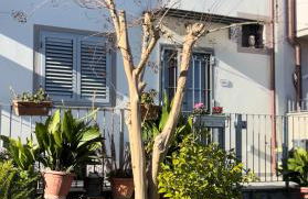 casa del melo - Foto 11