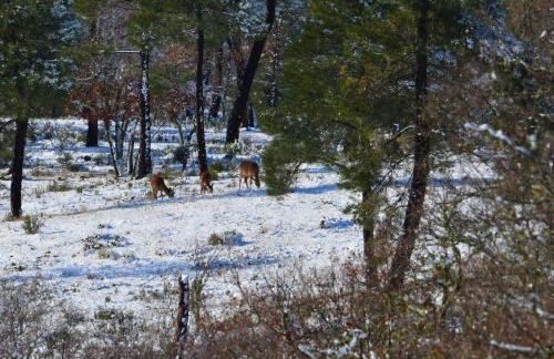 Casa Rural Mirador de los Tomillos - Foto 66