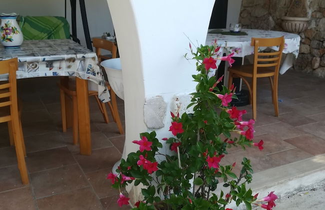 Trullo Alessandro e Villa Raffaela - Foto 18