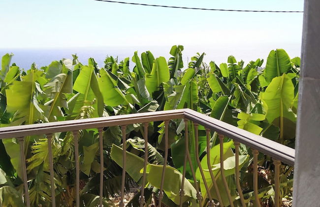 Caracol "trail Mountain La Palma" - Junto a Trébol - Foto 40