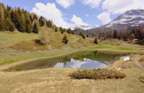 Casa per vacanze degli gnomi - Foto 43