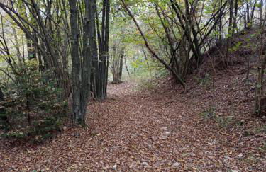 123 la casa nel bosco - Foto 4