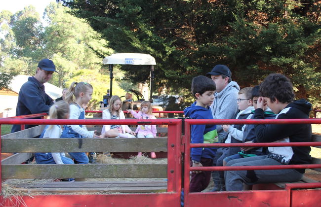 Pump Hill Farm Cottages - Photo 49