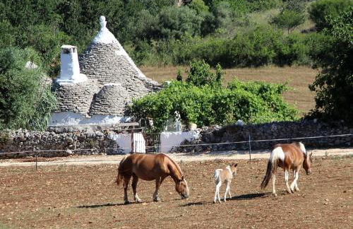 Casa tra i Trulli - Foto 70